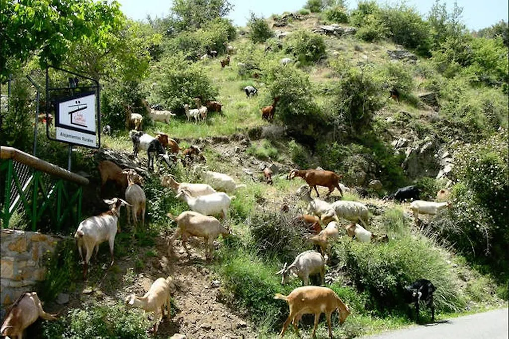 Telecabina las Catifas Güéjar Sierra Casa rural